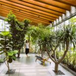 Practical Tips for Incorporating Biophilic Design: