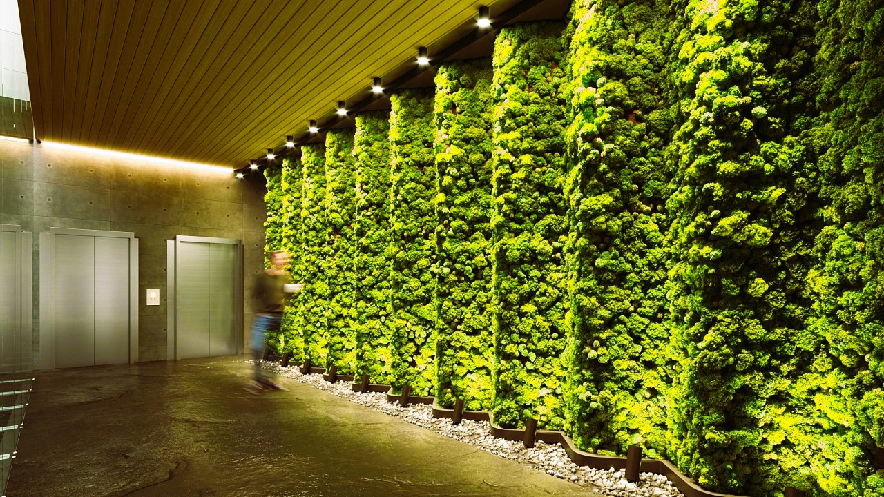 Bringing Nature Indoors: Incorporating Biophilic Design